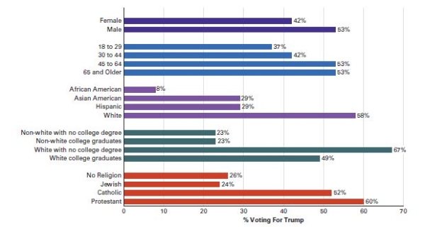 <strong>Questions 14 and 15 refer to the following graph. Electoral college and exit poll results for 2016 Source: 2016 National Exit Poll. According to exit poll data,which of the following group's members were most likely to vote for Donald Trump in 2016?</strong> A)Jews B)Hispanics -Consider This: While Trump did not do as poorly with Hispanics as estimated,this group of people were not most likely to vote for Trump. C)younger voters D)Non-Hispanic whites