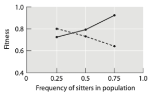 <strong>Some Drosophila melanogaster larvae use a sitting foraging strategy in which they feed more or less in the same location, while rovers wander around the substrate looking for more food sources. In the graph below, the dotted line corresponds to sitters and the solid line corresponds to rovers. This is an example of _______; over time we expect ________. </strong> A) negative frequency-dependent selection; both strategies to persist in the population B) pleiotropy; both strategies to persist in the population C) frequency-dependent selection; the rover strategy to replace the sitter strategy because it has the highest fitness D) pleiotropy; the rover strategy to replace the sitter strategy because it has the highest fitness