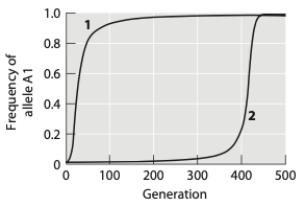 The graph below shows results of two simulations, both depicting the rise in frequency of a beneficial allele in a population of infinite size. The selection coefficient and the starting frequency are the same, but in one simulation the beneficial allele is dominant and in the other it is recessive. Neither allele is fixed by 500 generations. (a) Which simulation shows results for a dominant and which shows results for a recessive allele? How can you tell? (b) Neither of the alleles reaches fixation by 500 generations. If given enough time, will both of these alleles reach fixation in the population? Why or why not?