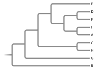 <strong>Given the following tree, which tree below is incorrect? </strong> A) (a) B) (b) C) (c) D) (d)