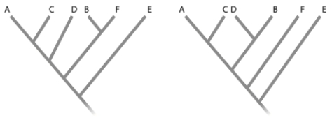 You are using maximum parsimony to determine the relationships among six species (A, B, C, D, E, and F). You examine eight different traits for the six species and an outgroup. Below you will find the data matrix. (a) Which traits are not useful for distinguishing relationships among species A, B, C, D, E, and F? (b) Given below are two possible tree topologies for these species. Based on the principle of maximum parsimony, circle the tree that most likely represents the true relationships among these species. Please show your work (that is, map the traits with tick marks onto each tree, and beside each tick mark give the number of the trait). Please include all traits, even those you determined were not useful in part (a).