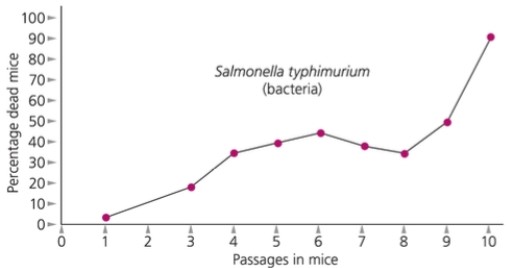 <strong>The line in the following graph shows that over time </strong> A) mice become less susceptible to disease. B) mice become more susceptible to disease. C) bacteria evolve from low to high virulence. D) bacteria evolve from high to low virulence.