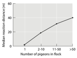<strong>The figure below shows the amount of time it takes pigeons in groups of varying size to respond to a potential predator. Based on this graph, pigeons experience what benefit from grouping? </strong> A) increased vigilance B) dilution C) group defense D) cooperative foraging E) There is no benefit.