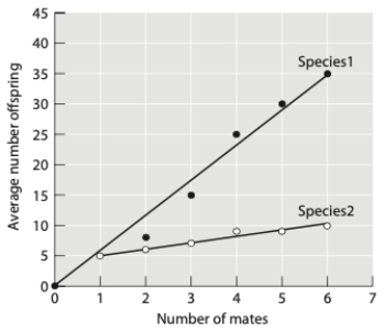 The graph below shows the reproductive success for males of two different species as a function of the number of mates they obtain. For which species would you expect sexual selection on males to be stronger?
