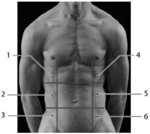 <strong> Which of the following is the left inguinal region?</strong> A)3 B)6 C)9 D)4 E)8