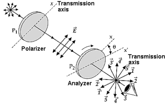 Two polarizing films are crossed with their transmission axes making an angle of θ = 20° with each other. The vectors that represent the plane-polarized wave train passed by the second polarizing film are