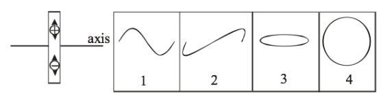 <strong> The left part of the figure shows a dipole oscillating in a sinusoidal function. Which of the curves best represents the magnetic field along the axis of the dipole centered about the dipole?</strong> A) 1 - sinusoidal wave in the plane of the dipole B) 2 - sinusoidal wave perpendicular to the plane of the dipole C) 3 - circular wave perpendicular to the plane of the dipole; the intensity propagates in a sinusoidal function D) 4 - circular wave in the plane of the dipole.; the intensity propagates in a sinusoidal function E) None of these is correct.
