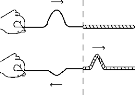 <strong> From the figure above, you can conclude that</strong> A) the medium to the left of the boundary is denser than the medium to the right. B) the medium to the right of the boundary is denser than the medium to the left. C) the pulse is initially traveling from right to left. D) the wave has lost energy as a result. E) None of these is correct.