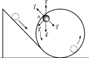 <strong> The ball shown in the figure will loop-the-loop if it starts from a point high enough on the incline. When the ball is at point A, the centripetal force on it is best represented by which of the following vectors?</strong> A) B) C) D) E)