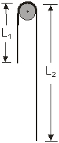 <strong>A flexible rope of mass m and length L = L<sub>1</sub> + L<sub>2</sub>, hangs over a frictionless peg, as shown in the figure. What is the change in potential energy when the end of the rope just slides off the peg? </strong> A) mgL B) mgL<sub>1</sub> C) mgL<sub>2</sub> D) mgL<sub>1</sub><sup>2</sup>/L) E) mgL<sub>1</sub>L<sub>2</sub>/L)