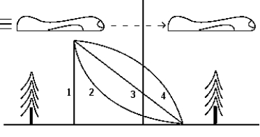 An airplane in a horizontal flight releases a relief package that travels along possible paths as suggested in the diagram.   The trajectory of the package is best represented by