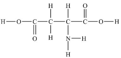 <strong>Which compound is a secondary amine?</strong> A) B) C) D) E)