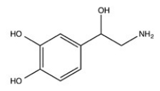 Norepinephrine is an important neurotransmitter. Classify the amine in norepinephrine.