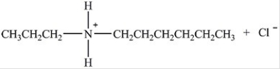 <strong>What products are formed when the amine below reacts with HCl? </strong> A) B) C) D)