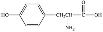 <strong>Which is not a derivative of 2-phenylethylamine?</strong> A) B) C) D) E)All of the compounds are derivatives of 2-phenylethylamine.