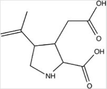 <strong>Methylphenidate (Ritalin)is a drug used to treat attention deficit hyperactivity disorder (ADHD). Which type of nitrogen heterocycle is present in methylphenidate? </strong> A)Pyridine B)Pyrrole C)Pyrrolidine D)Piperidine