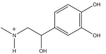 <strong>At the pH of the aqueous environment of the cells,amines exist in their ionized (charged)form. Which of the following properly represents how epinephrine exists in the cell? </strong> A) B) C) D)