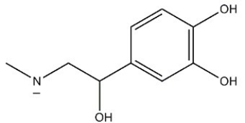 <strong>At the pH of the aqueous environment of the cells,amines exist in their ionized (charged)form. Which of the following properly represents how epinephrine exists in the cell? </strong> A) B) C) D)