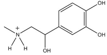 <strong>At the pH of the aqueous environment of the cells,amines exist in their ionized (charged)form. Which of the following properly represents how epinephrine exists in the cell? </strong> A) B) C) D)