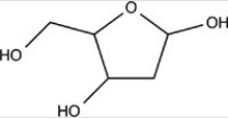 <strong>Deoxyribose is a building block of DNA. Which statement concerning the functional groups present in deoxyribose,shown below,is incorrect? </strong> A)It contains an acetal. B)It contains an alcohol. C)It contains a hemiacetal. D)None of these choices are incorrect.