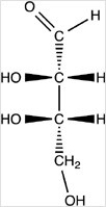 <strong>Which structure represents the three-dimensional structure of the Fischer projection shown? </strong> A) B) C) D)