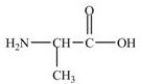 <strong>Alanine,shown below,is a naturally occurring chiral amino acid. Which pair represents the two enantiomers of alanine? </strong> A) B) C)