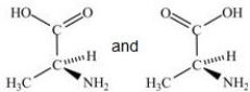 <strong>Alanine,shown below,is a naturally occurring chiral amino acid. Which pair represents the two enantiomers of alanine? </strong> A) B) C)