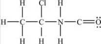 <strong>Which structure has all of the hydrogens and lone pairs correctly added to the compound shown below? </strong> A) B) C) D)