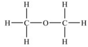 <strong>Which compound is an ether?</strong> A) B) C) D)