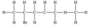 <strong>Which structure properly indicates the order of attachment of atoms as represented by the condensed structure CH<sub>3</sub>CHBrCH<sub>2</sub>CH(CH<sub>3</sub>)<sub>2</sub>?</strong> A) B) C) D)