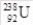 <strong>How many protons are in the isotope ?</strong> A)238 B)146 C)92 D)330