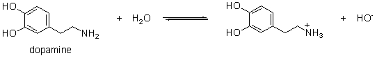 <strong>Which of the following are conjugate acid-base pairs in the acid-base reaction between dopamine and water? I. H<sub>2</sub>O and II. H<sub>2</sub>O and <sup>-</sup>OH III. and IV. and <sup>-</sup>OH</strong> A) I only B) I and IV C) II only D) II and IV E) II and III