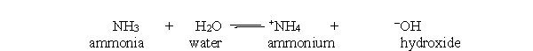 In the acid-base reaction between ammonia and water, which of the following statements best describes the concentration of ammonia and ammonium at equilibrium?
