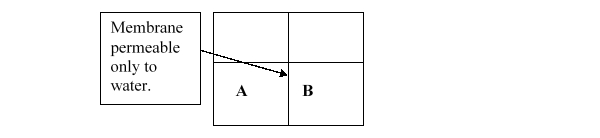 <strong>If A contains 3 mmol NaCl and 3 mmol glucose, while B contains 6 mmol NaCl, which of the following will occur? </strong> A) Water will flow from A to B. B) Water will flow from B to A. C) NaCl will flow from A to B. D) NaCl will flow from B to A. E) Nothing will happen.