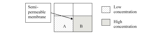 <strong>If the semipermeable membrane only allows the passage of water, what process will to occur? </strong> A) nothing B) mixing C) dialysis D) dilution E) osmosis