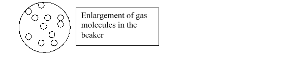 Imagine that you have a beaker of gas molecules. A small volume of the gas in the beaker is enlarged so you can see the gas particles. If all of the gas in the beaker A is transferred to a new beaker half the size of the original beaker, while maintaining the same temperature, which magnified view best represents what the gas would look like?