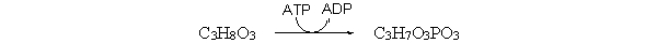 <strong>Which of the following terms describes the role of ATP in this reaction? </strong> A) The hydrolysis of ATP is inhibiting this reaction. B) The hydrolysis of ATP is a catalyst for this reaction. C) The hydrolysis of ATP is regulating this reaction. D) The hydrolysis of ATP is coupled to this reaction. E) All of the above