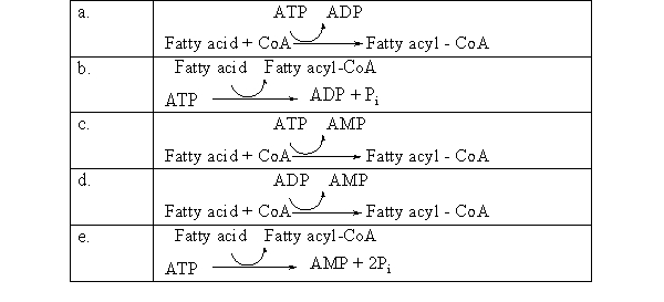 <strong>During fatty acid oxidation, a fatty acid must react with coenzyme A to become a fatty acyl-CoA, as shown below. Fatty acid + CoA → Fatty acyl - CoA ΔG = + 7.0 kcal/mol In the body, the reaction above is coupled to the hydrolysis of two phosphate groups from ATP as shown below: ATP → AMP + 2 P<sub>i</sub> ΔG = <font face=symbol></font>15.7 kcal/mol Which of the following chemical equations correctly shows these two reactions coupled together? </strong> A)a B)b C)c D)d E)e