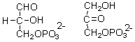 <strong>What is the relationship between the following two intermediates in glycolysis? </strong> A) They are identical. B) They are conformers. C) They are enantiomers. D) They are constitutional isomers. E) They are diastereomers.