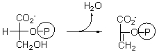 <strong>One of the steps of glycolysis is given below. What type of reaction is this? </strong> A) oxidation B) hydration C) hydrogenation D) dehydration E) phosphoryl transfer
