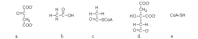 <strong>The citric acid cycle has a unique circular appearance when written due to the regeneration of oxaloacetate. Which of the following molecules is oxaloacetate? </strong> A)a B)b C)c D)d E)e