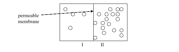 The figure below illustrates protons (the circles) separated by a membrane permeable to the protons and water. What will happen to the protons as time passes and the system equilibrates?