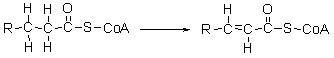 The first step of <font face=symbol></font>-oxidation is shown below. What type of reaction is this?
