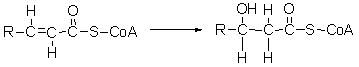 The second step of <font face=symbol></font>-oxidation is shown below. What type of reaction is this?