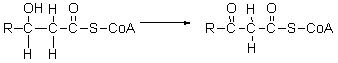 The third step of <font face=symbol></font>-oxidation is shown below. What type of reaction is this?