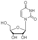 <strong>The molecule below is found in </strong> A) DNA. B) protein. C) steroids. D) RNA. E) starch.
