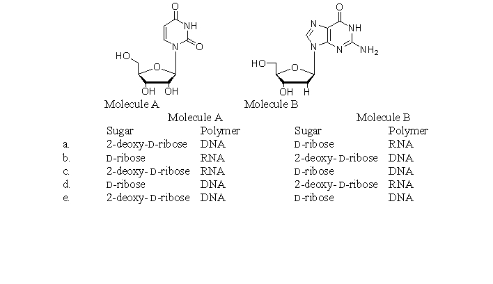 <strong>In which of the following choices is the name of the sugar and the polymer in which it is found correct? </strong> A)a B)b C)c D)d E)e