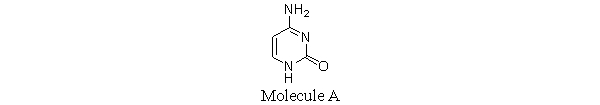 <strong>Molecule A is a(n)</strong> A) adenine. B) thymine. C) guanine. D) uracil. E) cytosine.