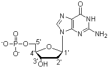 <strong>Which carbon is the anomeric carbon? </strong> A) 1<font face=symbol></font> B) 2<font face=symbol></font> C) 3<font face=symbol></font> D) 4<font face=symbol></font> E) 5<font face=symbol></font>
