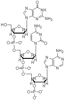 <strong>The structure below is a </strong> A) dinucleotide. B) dinucleoside. C) trinucleotide. D) trinucleoside. E) tetranucleoside.